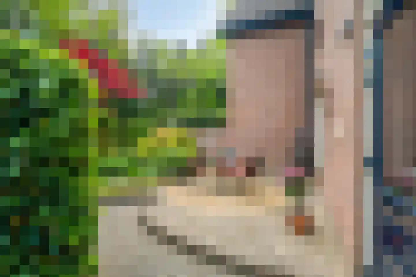 Bremhoek 17 Nunspeet thumbnail 46
