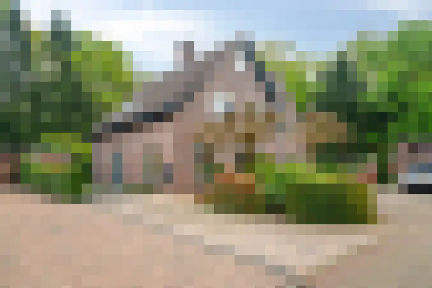 Bremhoek 17 Nunspeet thumbnail 5