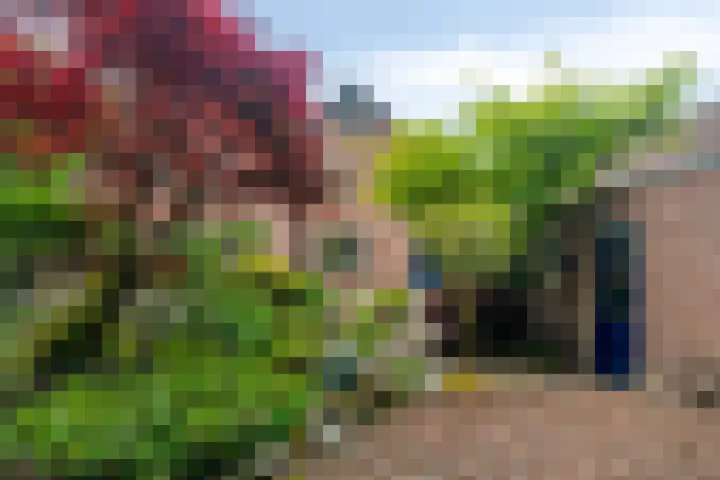 Bremhoek 17 Nunspeet thumbnail 51