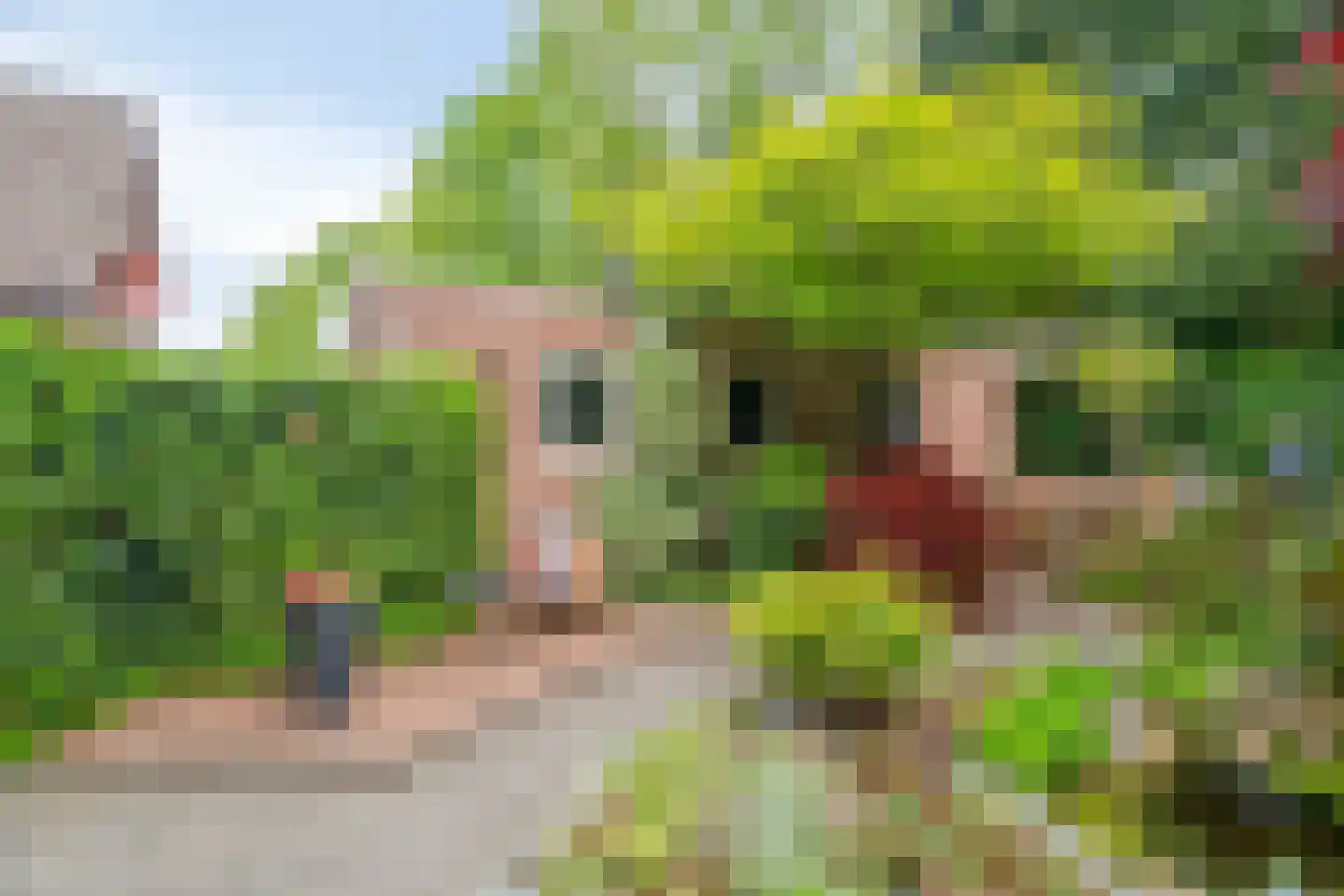 Bremhoek 17 Nunspeet thumbnail 54