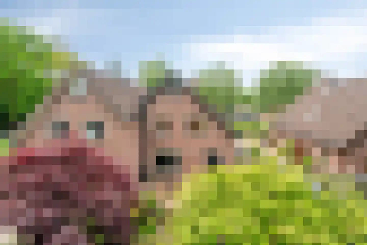 Bremhoek 17 Nunspeet thumbnail 58