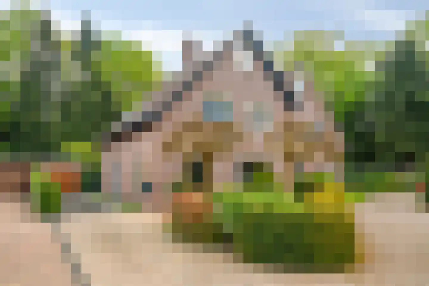 Bremhoek 17 Nunspeet thumbnail 6
