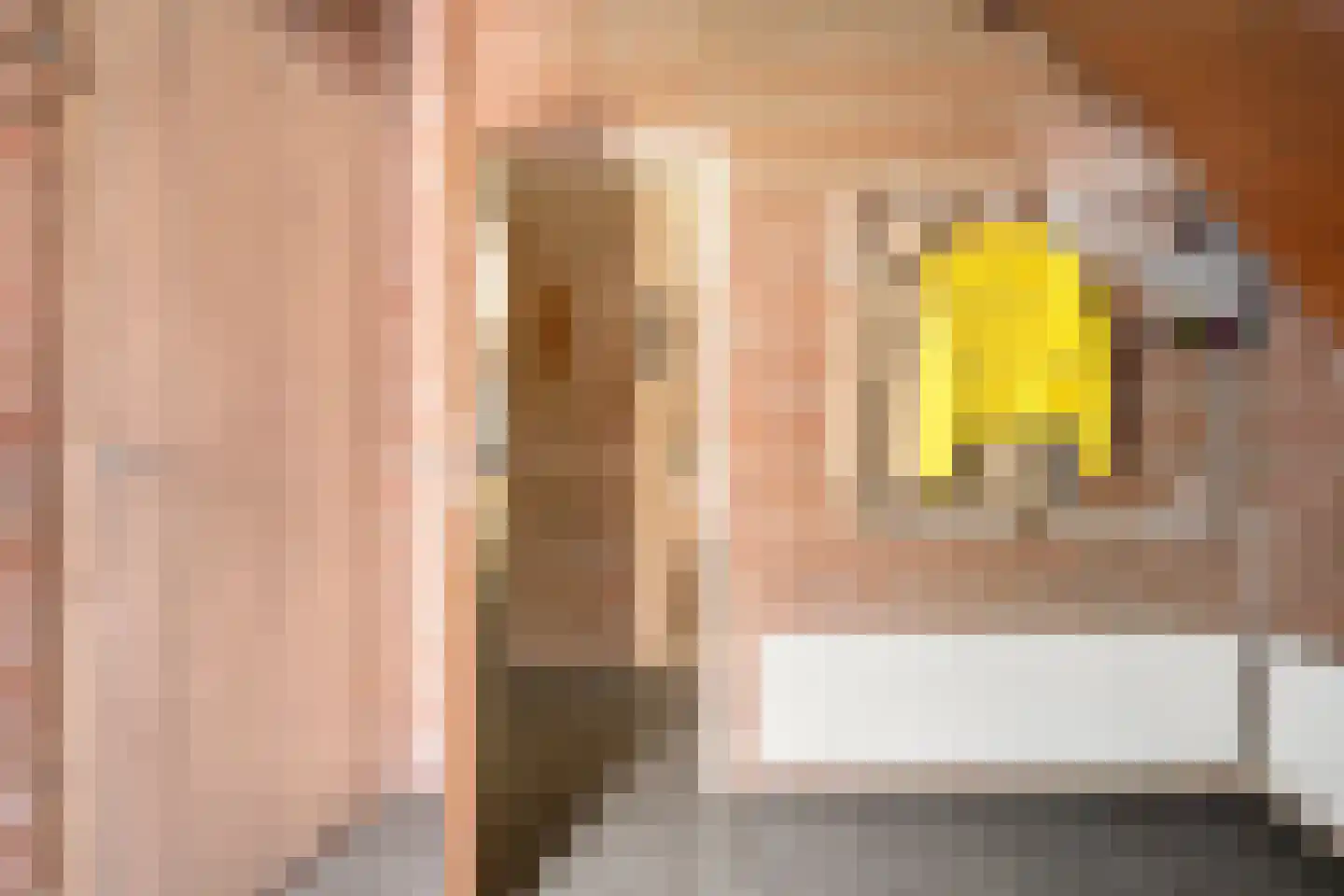 Bremhoek 17 Nunspeet thumbnail 9