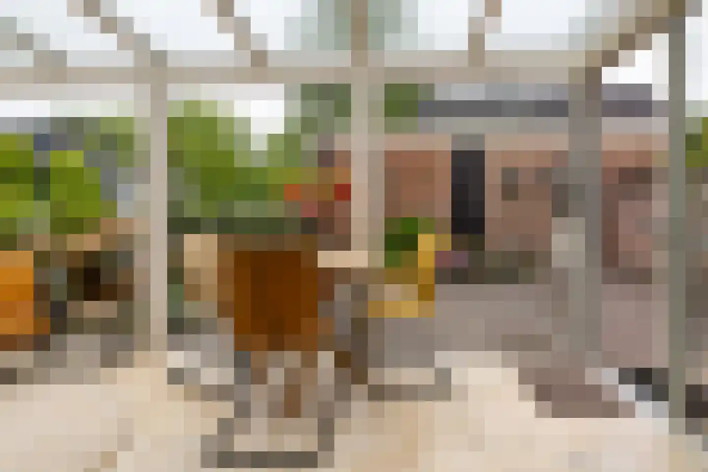 Bremhoek 18 Nunspeet thumbnail 21