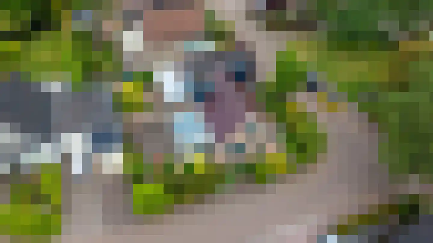Bremhoek 18 Nunspeet thumbnail 4