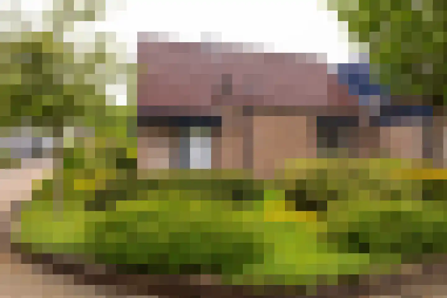 Bremhoek 18 Nunspeet thumbnail 6