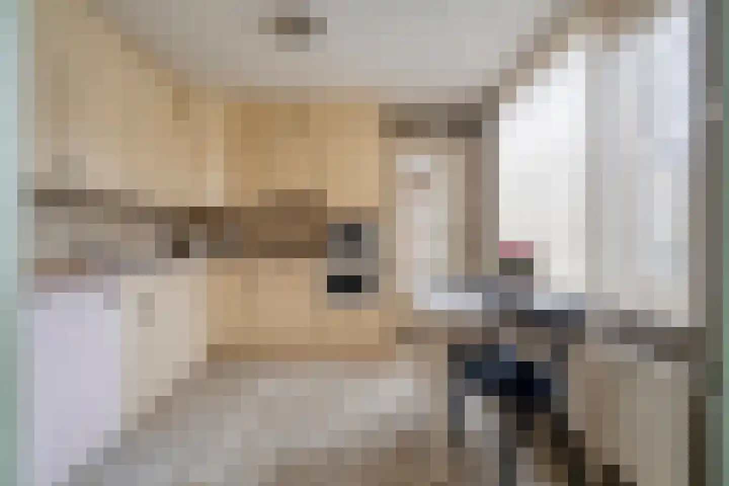 Bremhoek 26 Nunspeet thumbnail 23