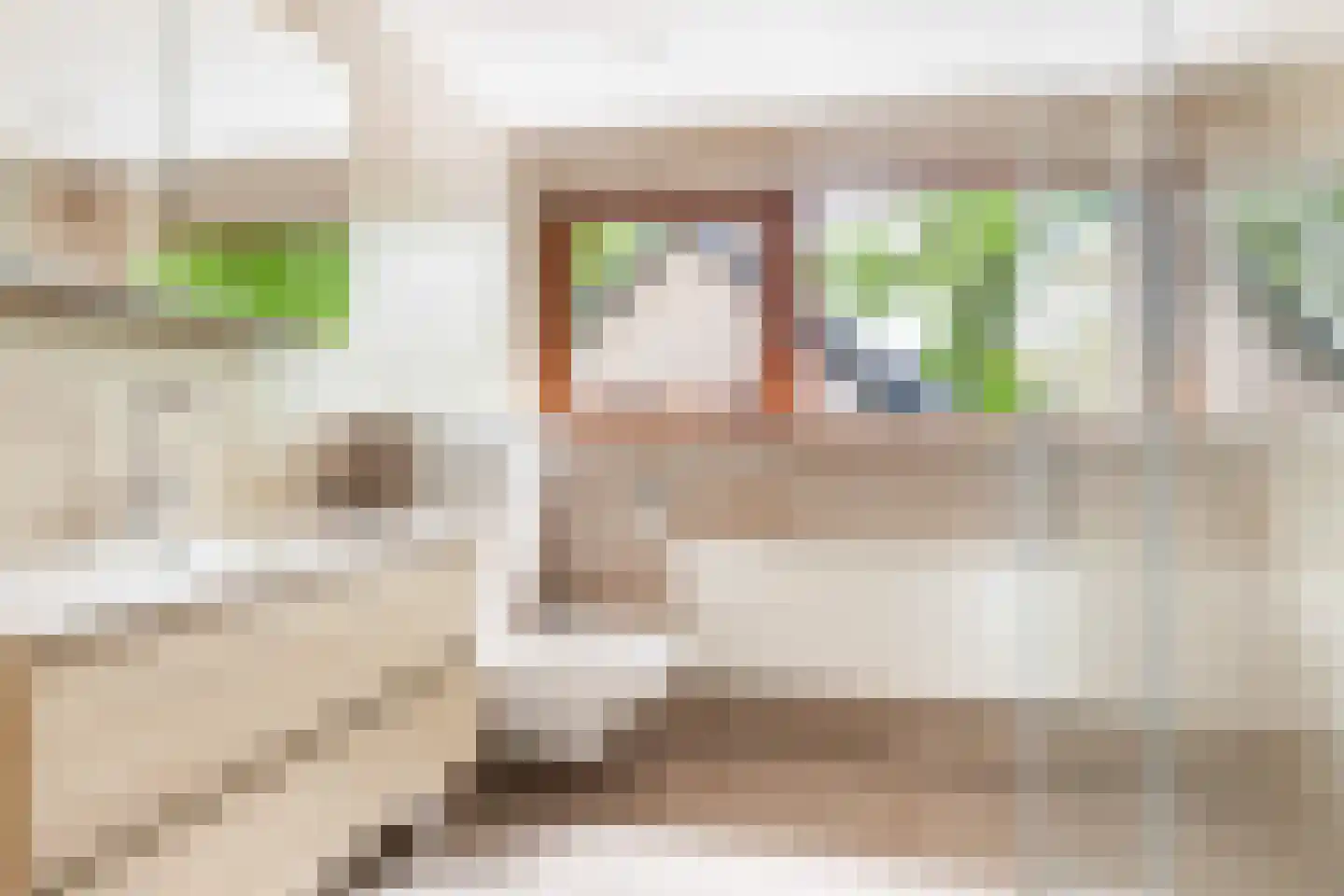Bremhoek 49 Nunspeet thumbnail 27
