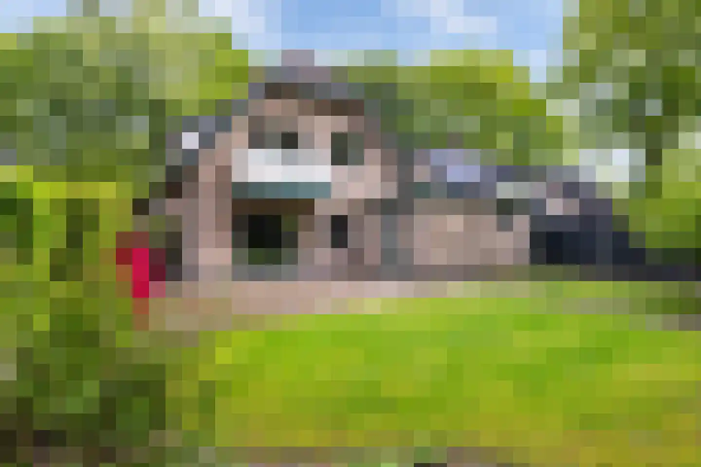 Bremhoek 49 Nunspeet thumbnail 40