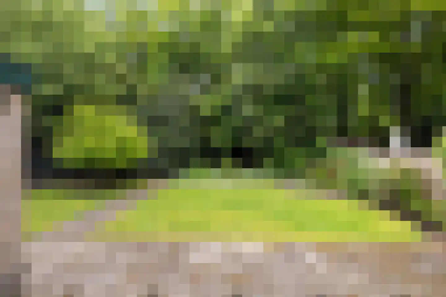 Bremhoek 49 Nunspeet thumbnail 42
