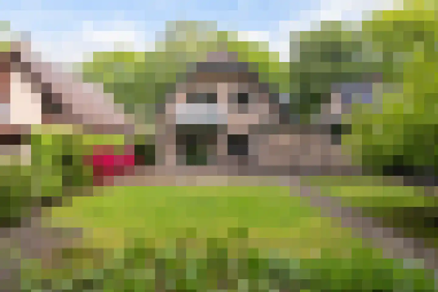 Bremhoek 49 Nunspeet thumbnail 43