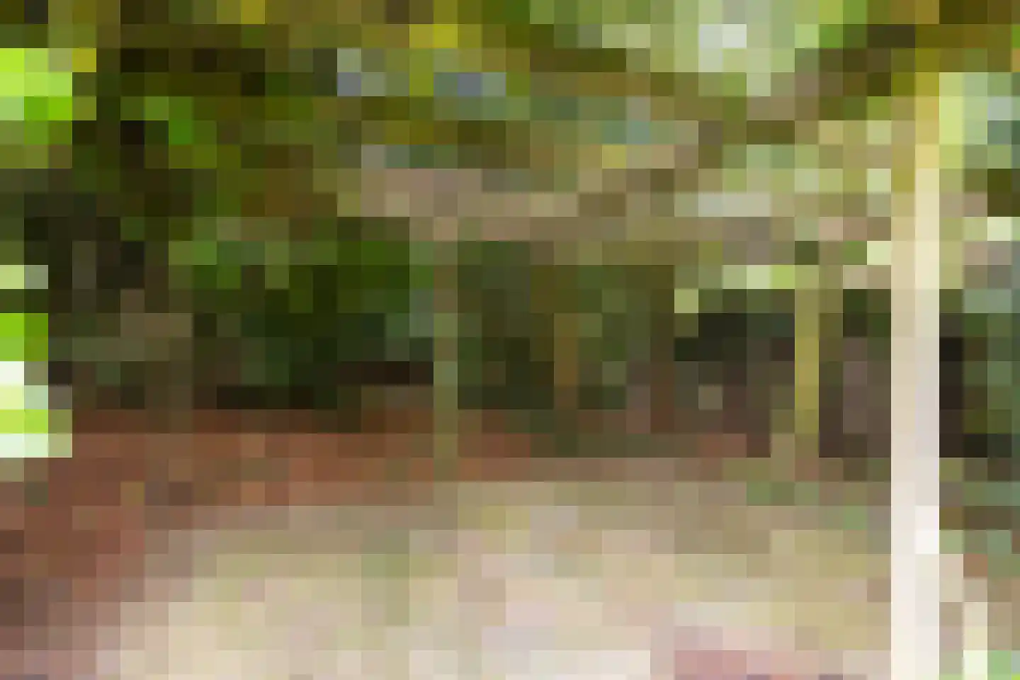 Bremhoek 49 Nunspeet thumbnail 44