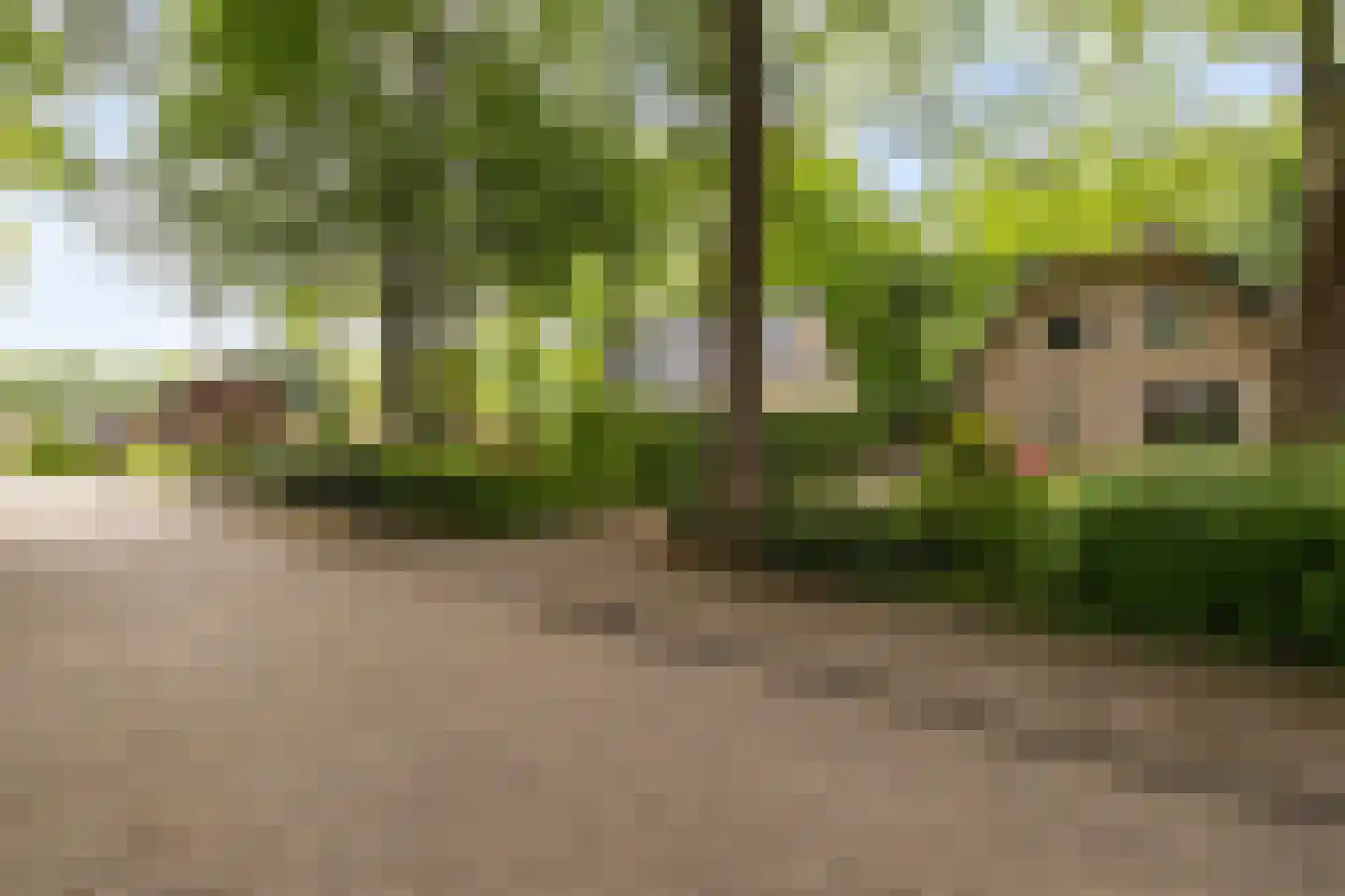 Bremhoek 49 Nunspeet thumbnail 47