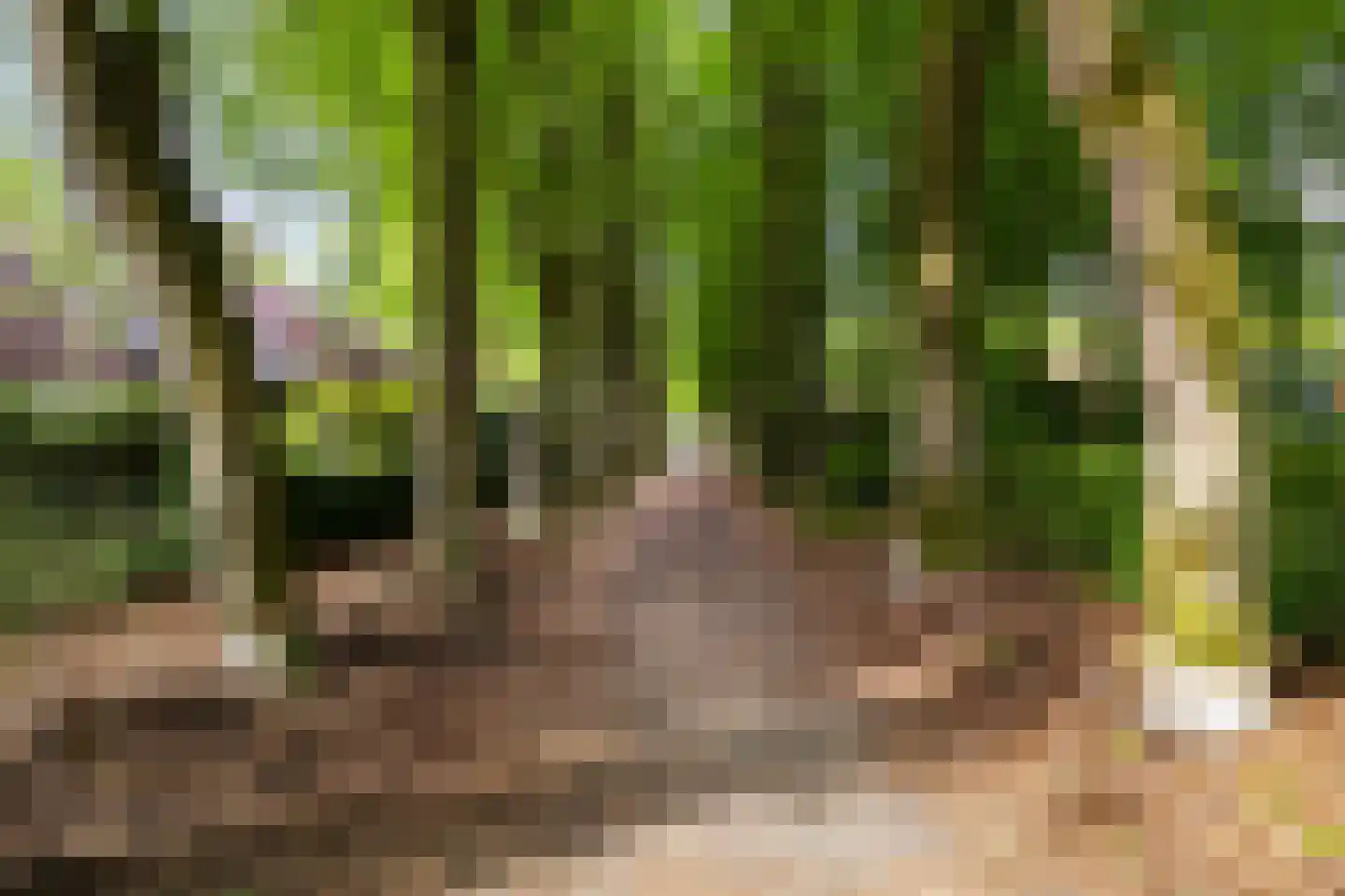Bremhoek 49 Nunspeet thumbnail 48