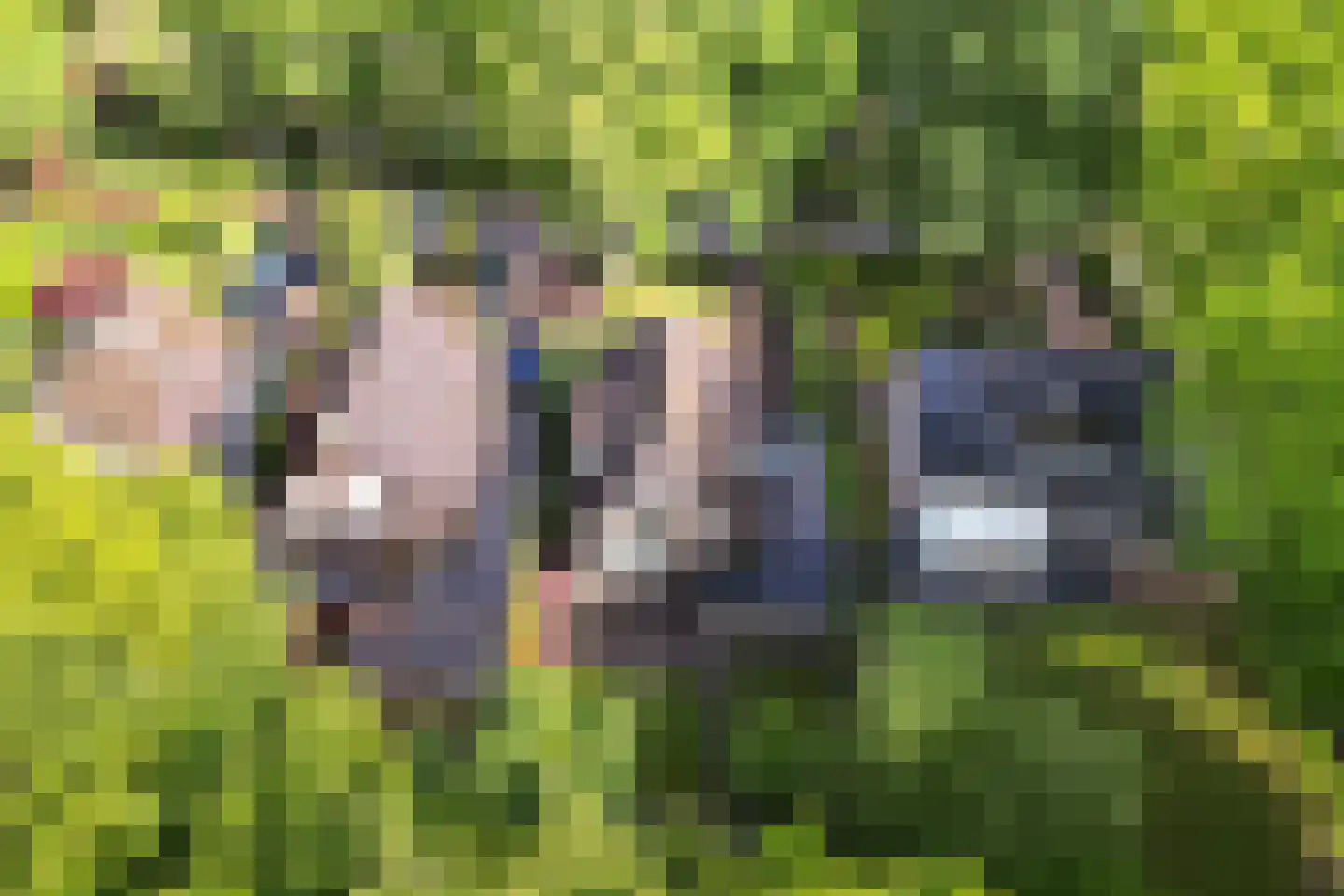 Bremhoek 49 Nunspeet thumbnail 49