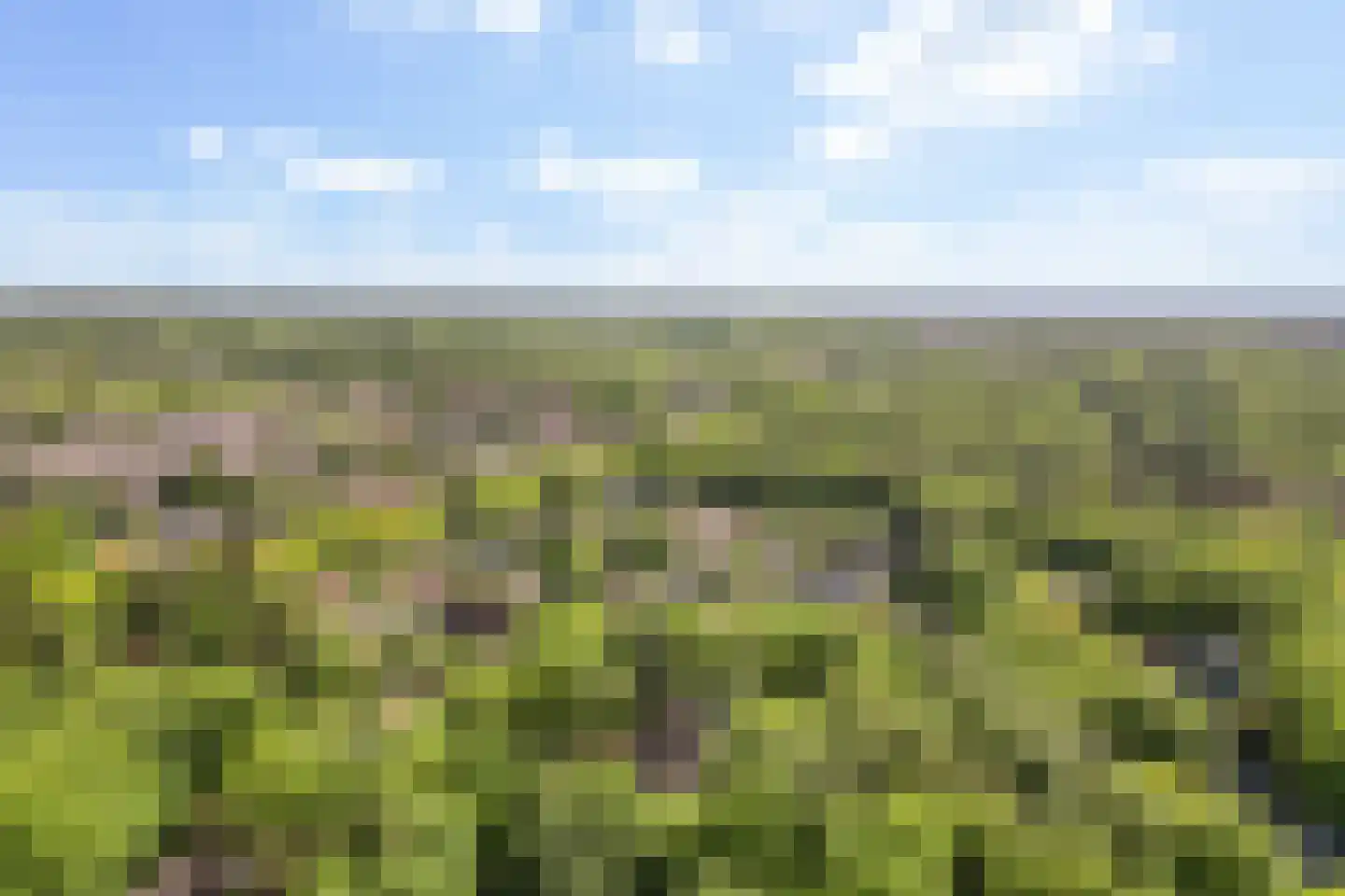 Bremhoek 49 Nunspeet thumbnail 50