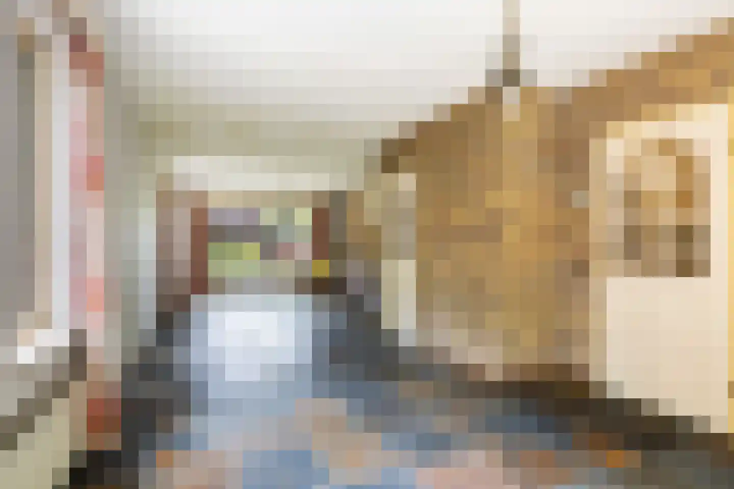 Bremhoek 49 Nunspeet thumbnail 7