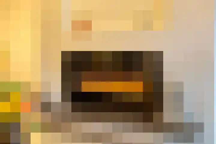 Bremhoeven 16 Rosmalen thumbnail 14