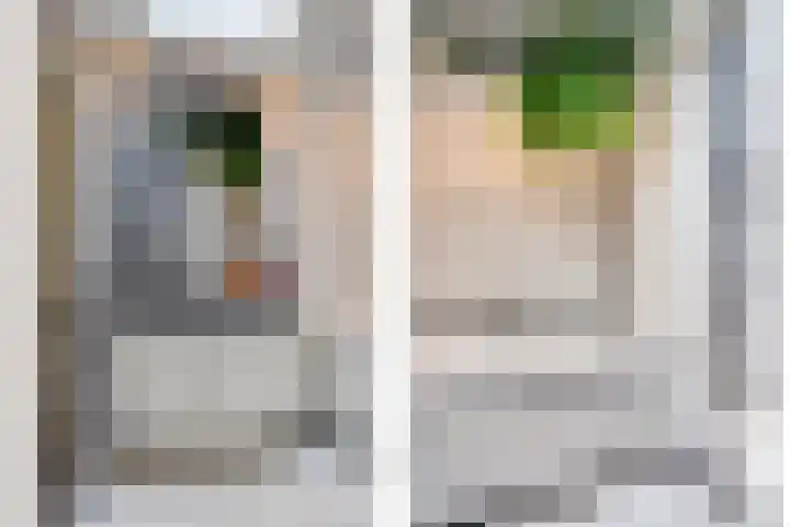 Bremhoeven 16 Rosmalen thumbnail 25