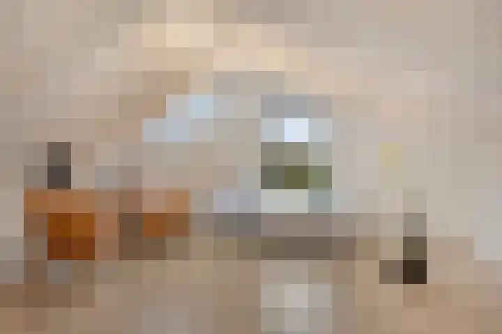 Bremhoeven 16 Rosmalen thumbnail 33