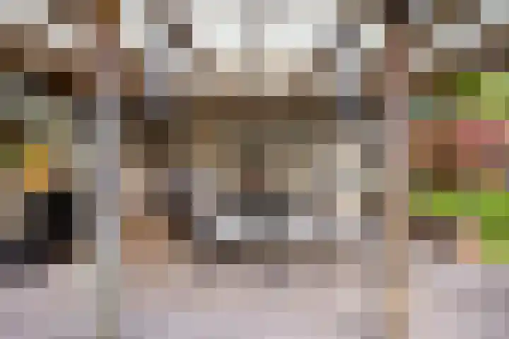 Bremhoeven 16 Rosmalen thumbnail 37