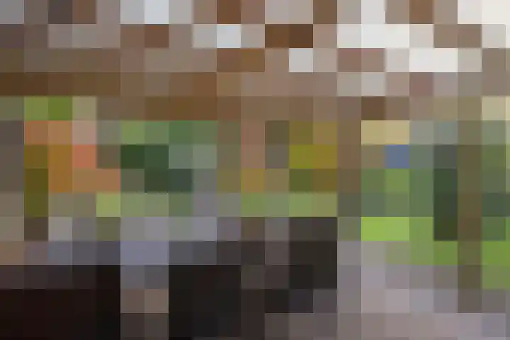 Bremhoeven 16 Rosmalen thumbnail 39
