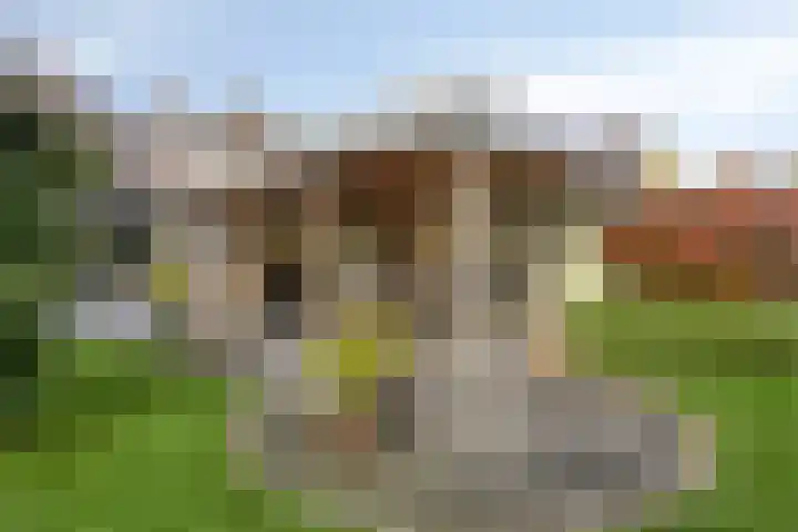 Bremhoeven 16 Rosmalen thumbnail 40