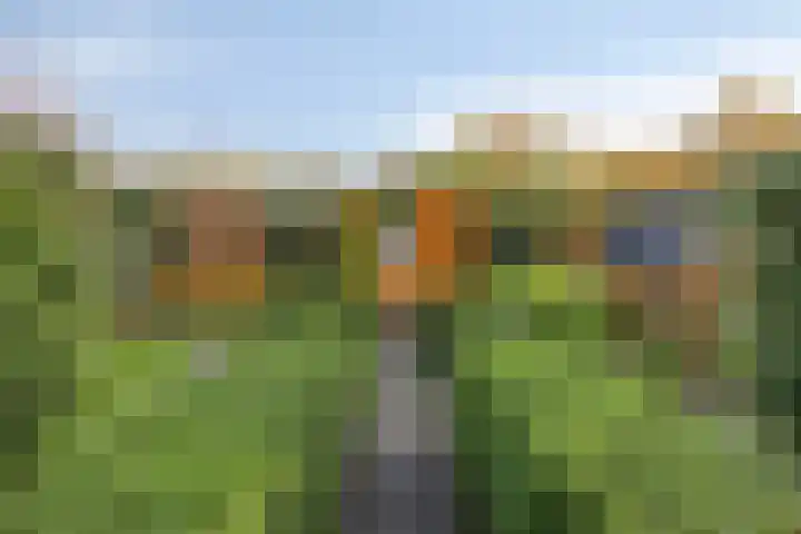 Bremhoeven 16 Rosmalen thumbnail 42