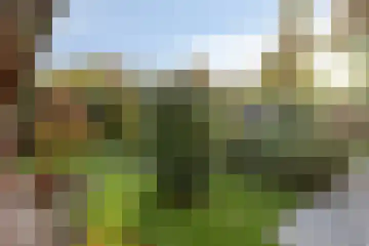 Bremhoeven 16 Rosmalen thumbnail 43