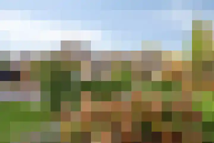 Bremhoeven 16 Rosmalen thumbnail 44