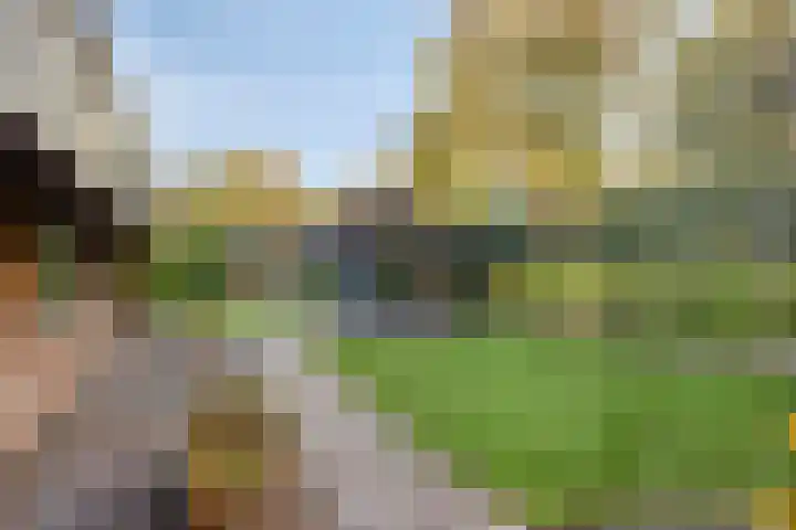 Bremhoeven 16 Rosmalen thumbnail 46