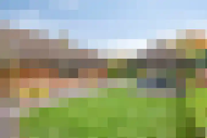 Bremhoeven 16 Rosmalen thumbnail 51