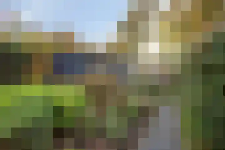 Bremhoeven 16 Rosmalen thumbnail 52