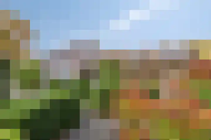 Bremhoeven 16 Rosmalen thumbnail 53