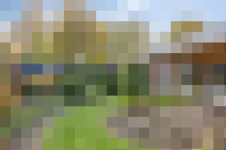 Bremhoeven 16 Rosmalen thumbnail 55