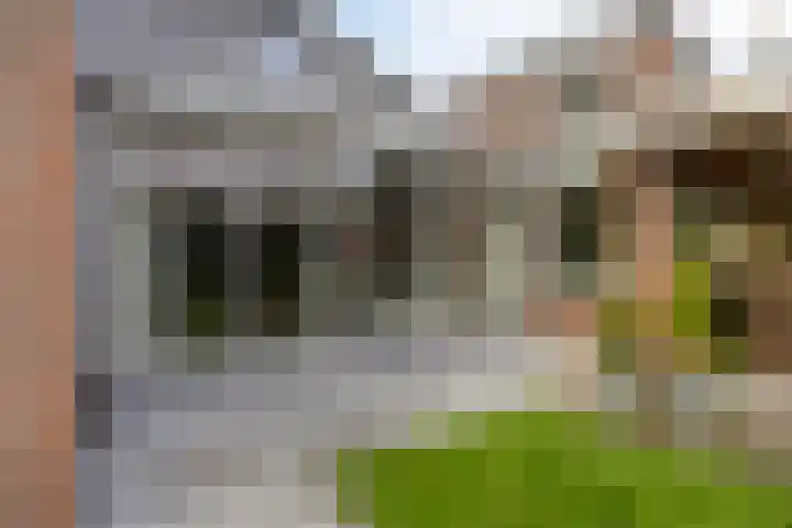 Bremhoeven 16 Rosmalen thumbnail 56