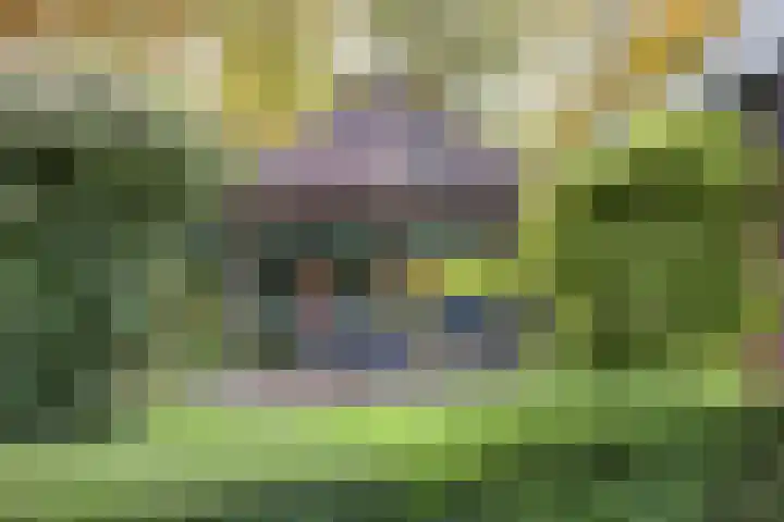 Bremhoeven 16 Rosmalen thumbnail 58
