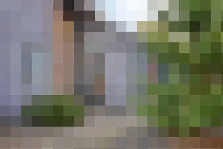 Bremhoeven 16 Rosmalen thumbnail 62