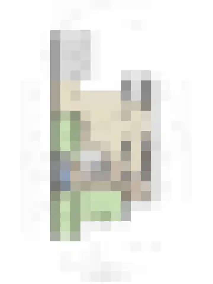 Bremhoeven 16 Rosmalen thumbnail 70