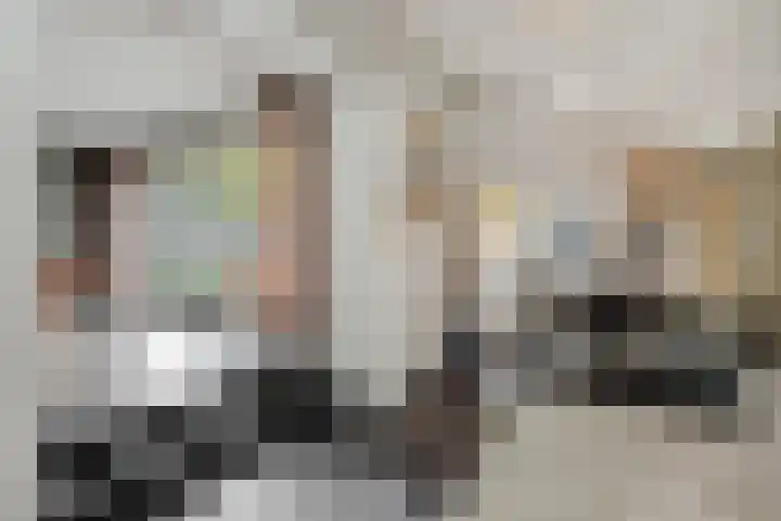 Bremhoeven 29 Rosmalen thumbnail 11