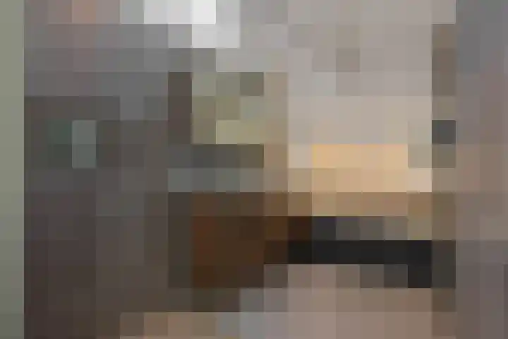 Bremhoeven 29 Rosmalen thumbnail 22