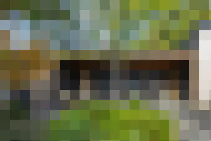 Bremhoeven 29 Rosmalen thumbnail 26