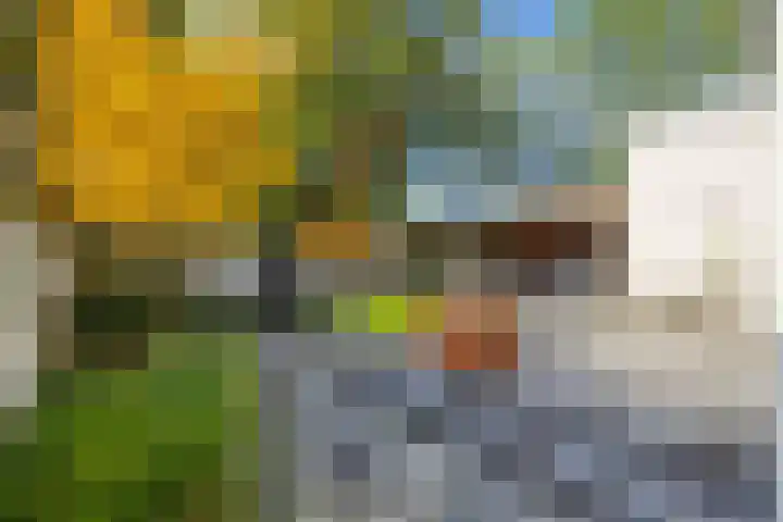Bremhoeven 29 Rosmalen thumbnail 27