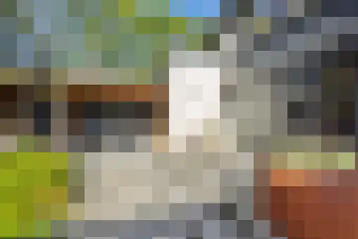 Bremhoeven 29 Rosmalen thumbnail 28