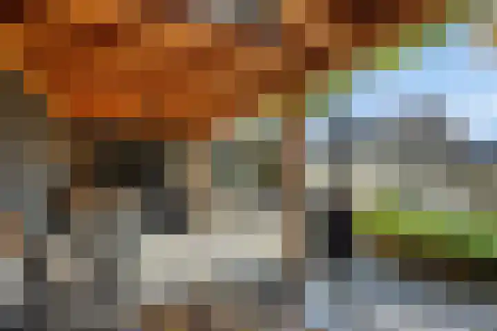 Bremhoeven 29 Rosmalen thumbnail 30