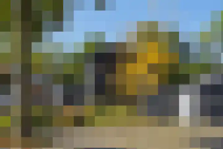 Bremhoeven 29 Rosmalen thumbnail 32