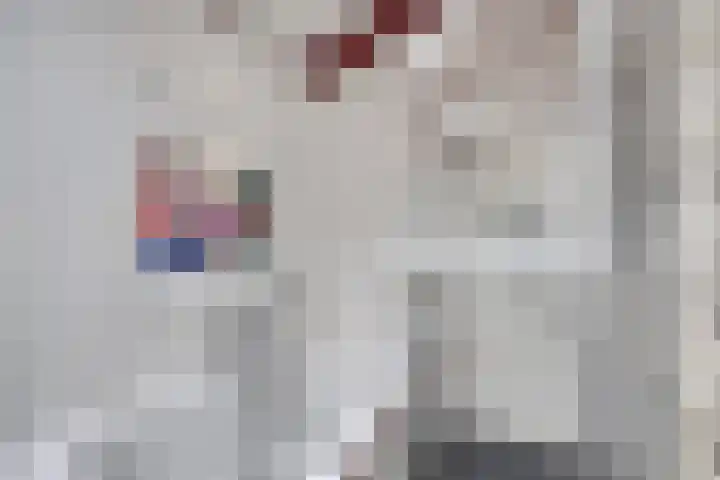 Bremhoeven 34 Rosmalen thumbnail 18