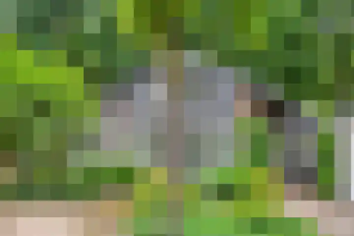 Bremhoeven 34 Rosmalen thumbnail 27