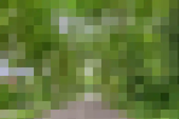 Bremhoeven 34 Rosmalen thumbnail 28