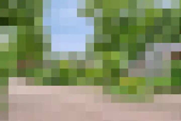 Bremhoeven 34 Rosmalen thumbnail 29